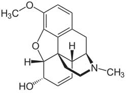 What is Codeine Allergy