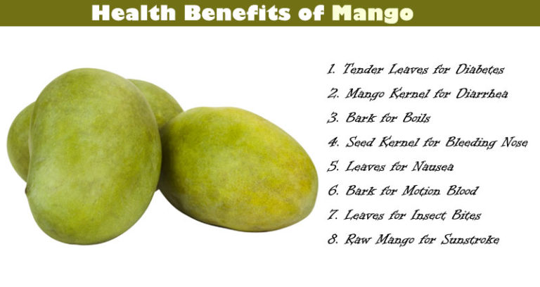 Health Benefits Of Mango Treeroots Bark Leaves Kernel