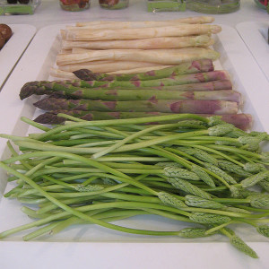 Image result for Asparagus Allergy