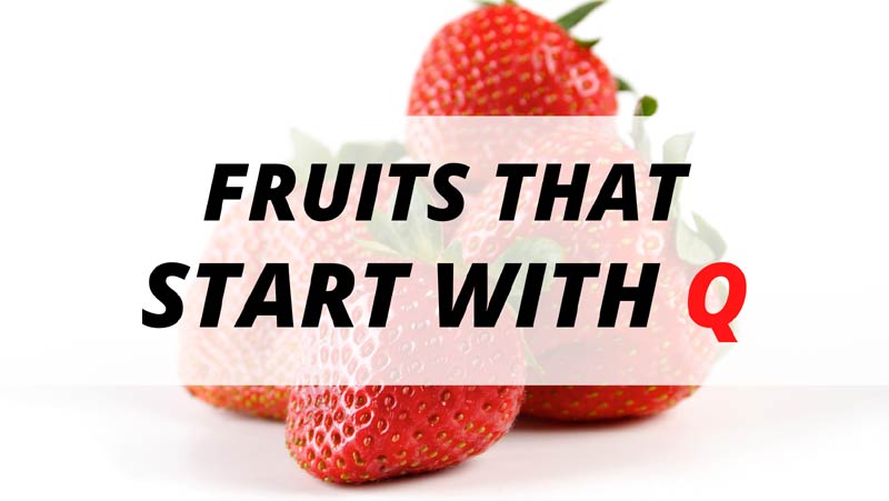 9 Fruits That Start With Q Fruit Beginning With Q 